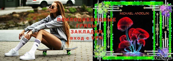бутират Алексин