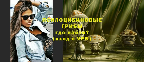 МДПВ Алзамай
