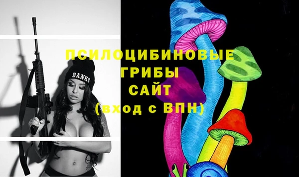 МДПВ Алзамай