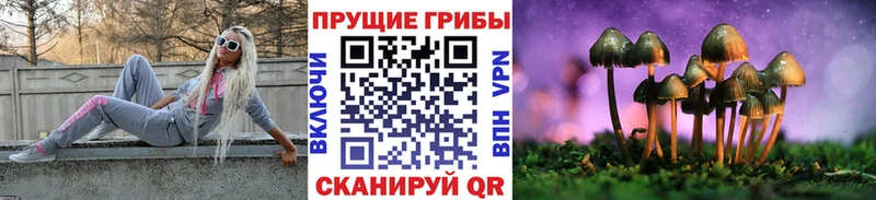 Галлюциногенные грибы Magic Shrooms  Чапаевск 