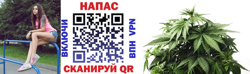 hydra онион  Чапаевск  Бошки Шишки White Widow 